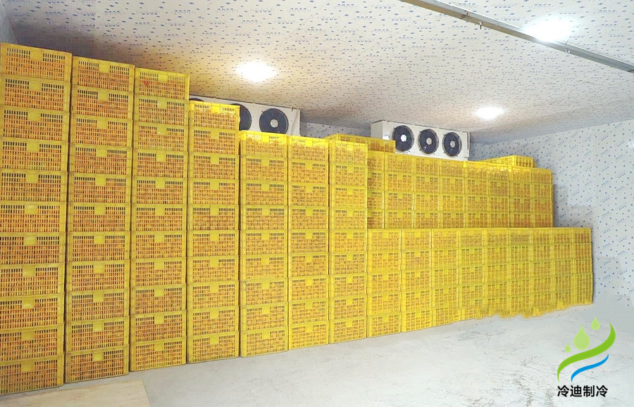 柑橘冷庫保鮮溫度，柑橘冷庫儲(chǔ)存1-9個(gè)月方法介紹