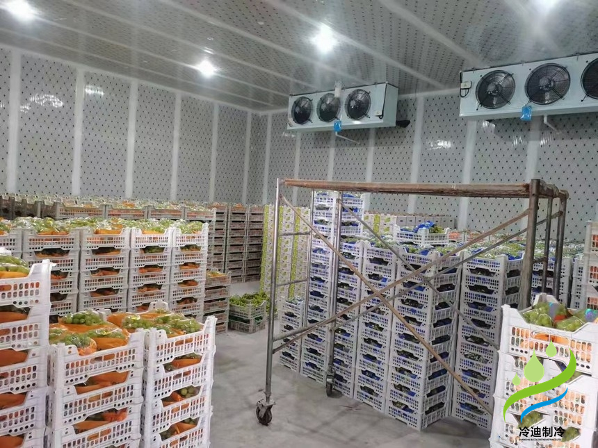 建造氣調冷庫多大一間比較合適？