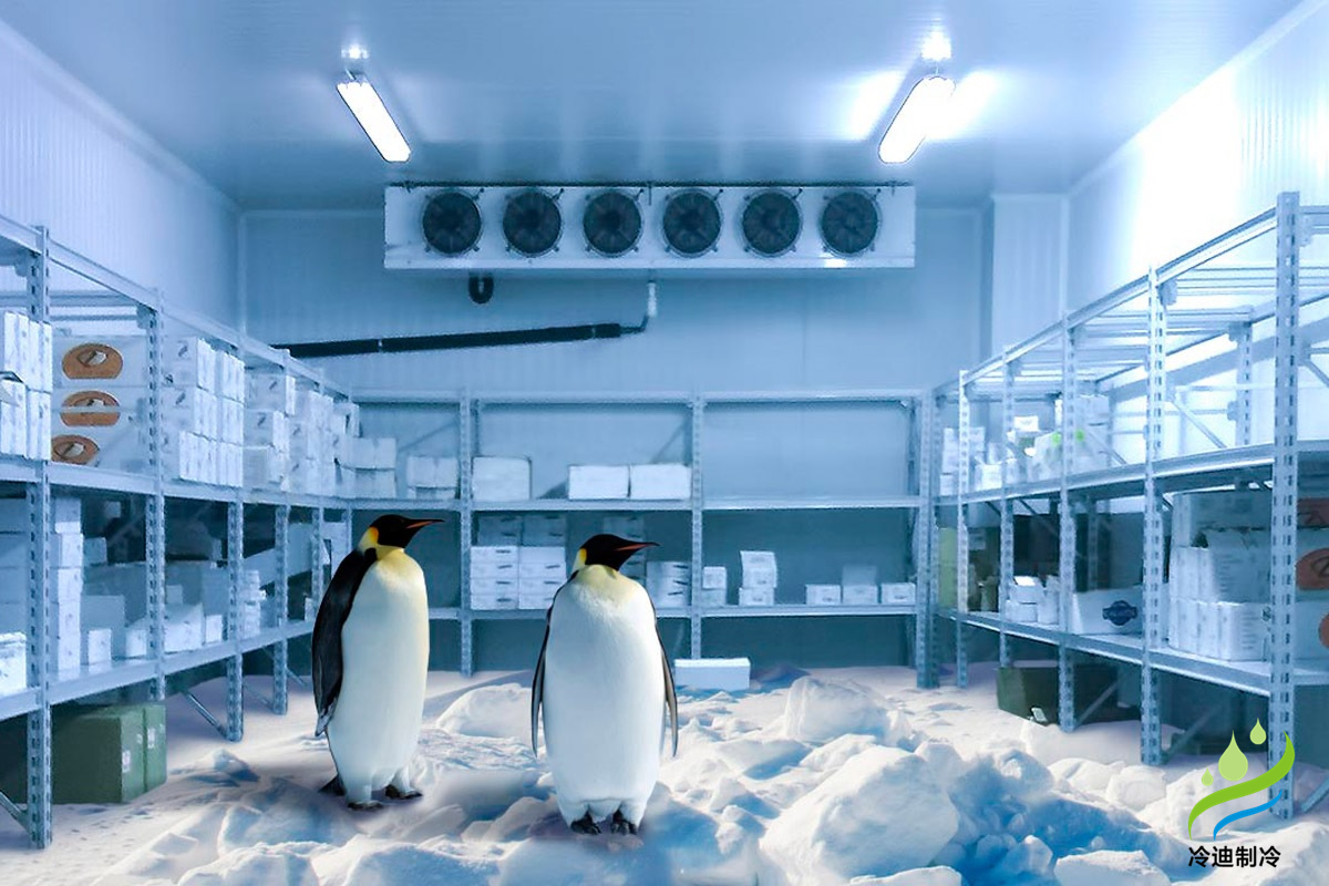 速凍冷庫(kù)造價(jià)