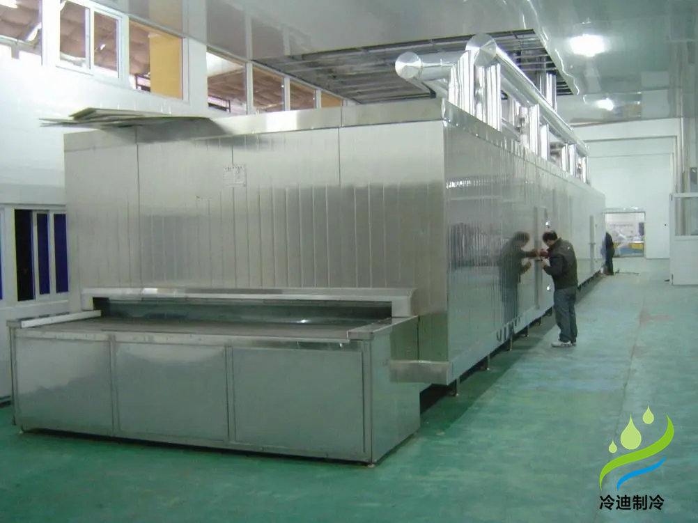 安裝一條速凍隧道大概需要花多少錢？